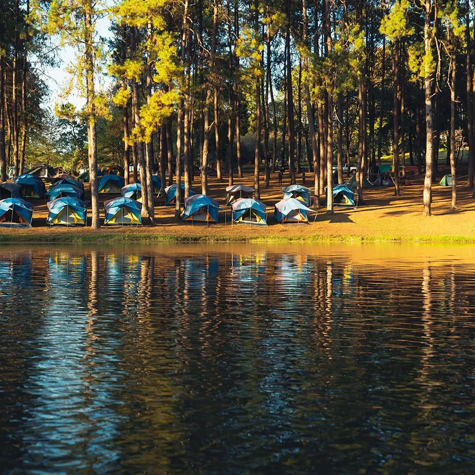 camping-proche-nature camping-proche-nature