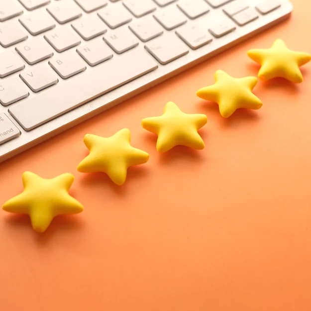 Satisfaction client / Avis en ligne